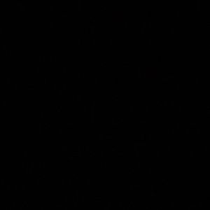 Meet your Posher, Junior